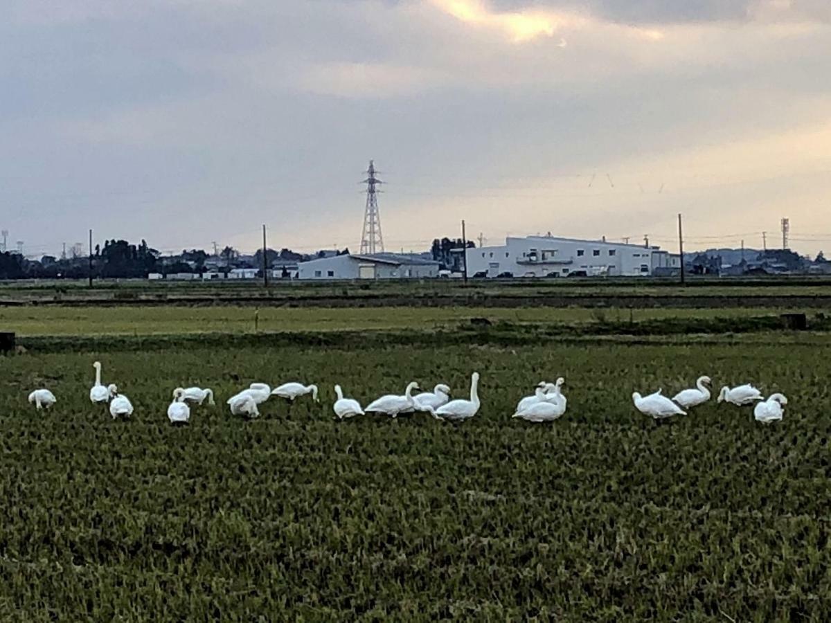 Iwamuro Slow Hostel Niigata Eksteriør bilde